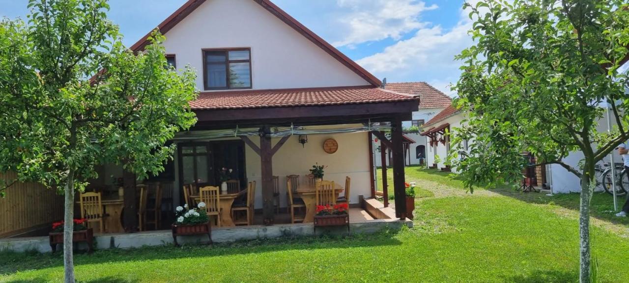 Casa Cânda Salasu de Sus Extérieur photo