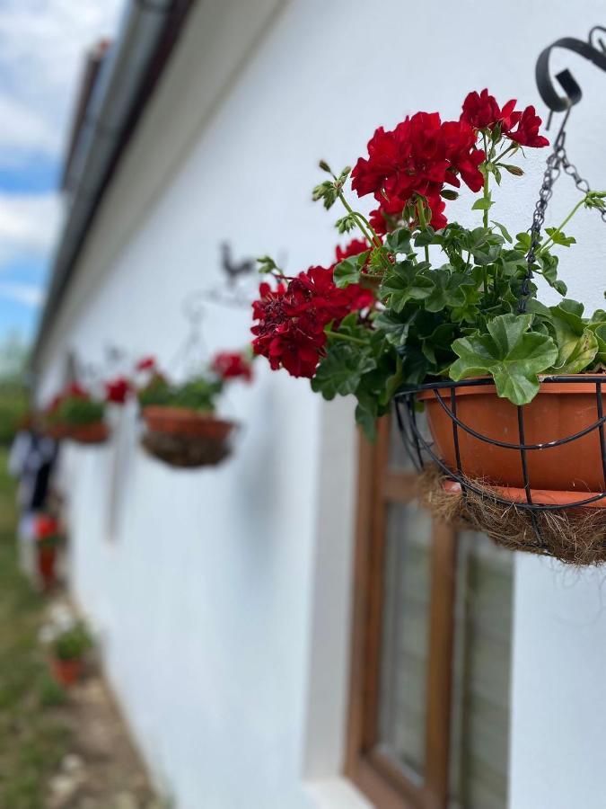Casa Cânda Salasu de Sus Extérieur photo